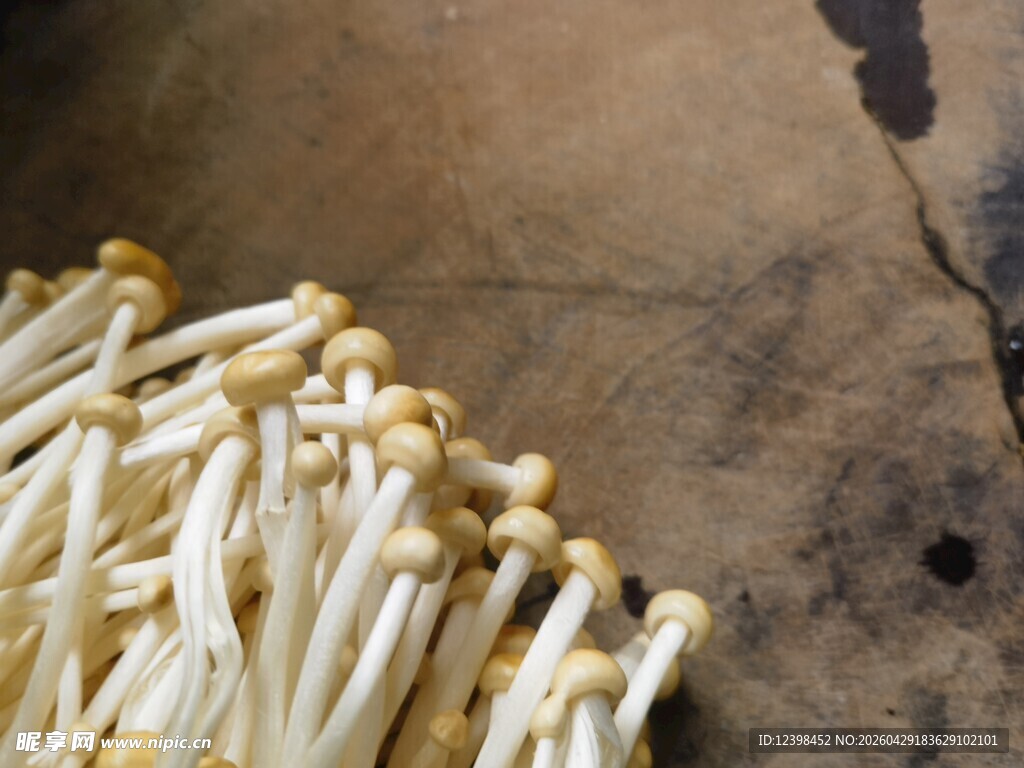 新鲜金针菇特写