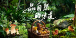 山林间的自然野菌盛宴
