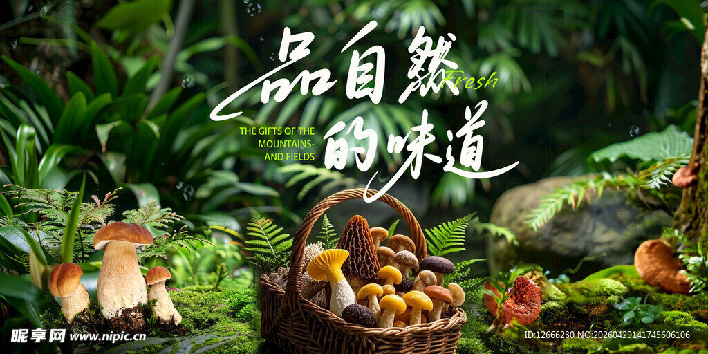 山林间的自然野菌盛宴