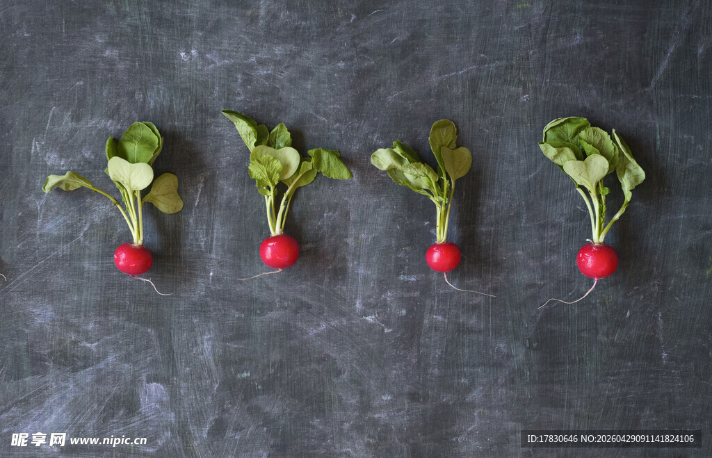 萝卜
