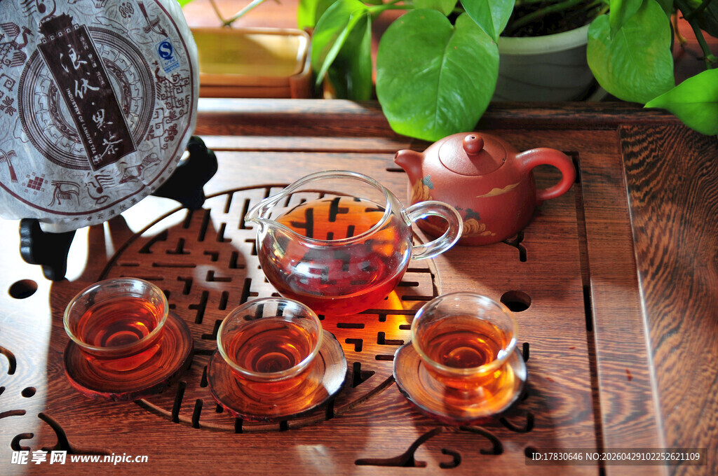 中式茶道茶具与绿植景致