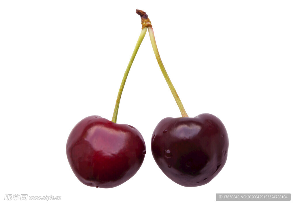 樱桃