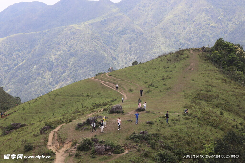 山间徒步者漫步绿意山坡