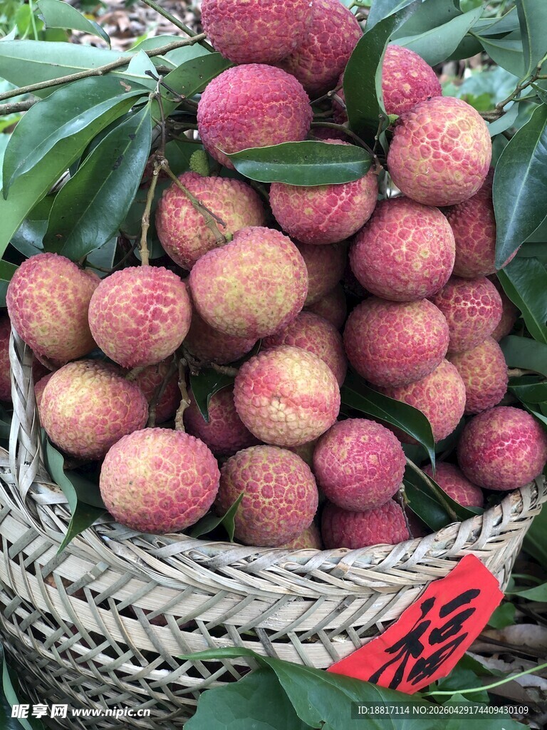 竹篮中的新鲜荔枝