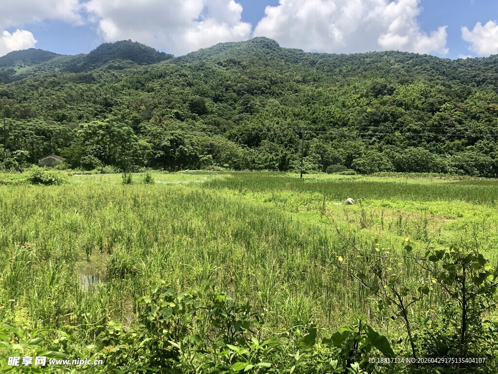 绿野青山间的自然美景