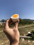 手捧半颗溏心蛋于户外