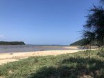美丽海滨风光  绿植伴海