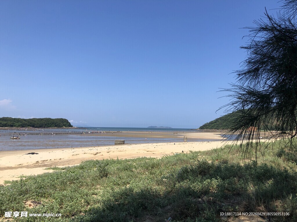 美丽海滨风光  绿植伴海