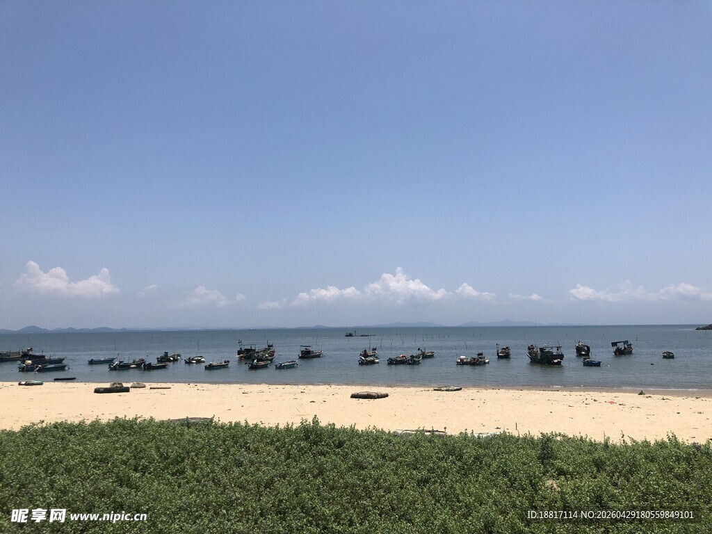 海边沙滩与远处船只景象