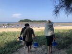 海边三人提桶准备赶海