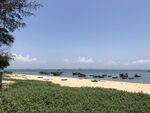 美丽海滨风光 绿意沙滩