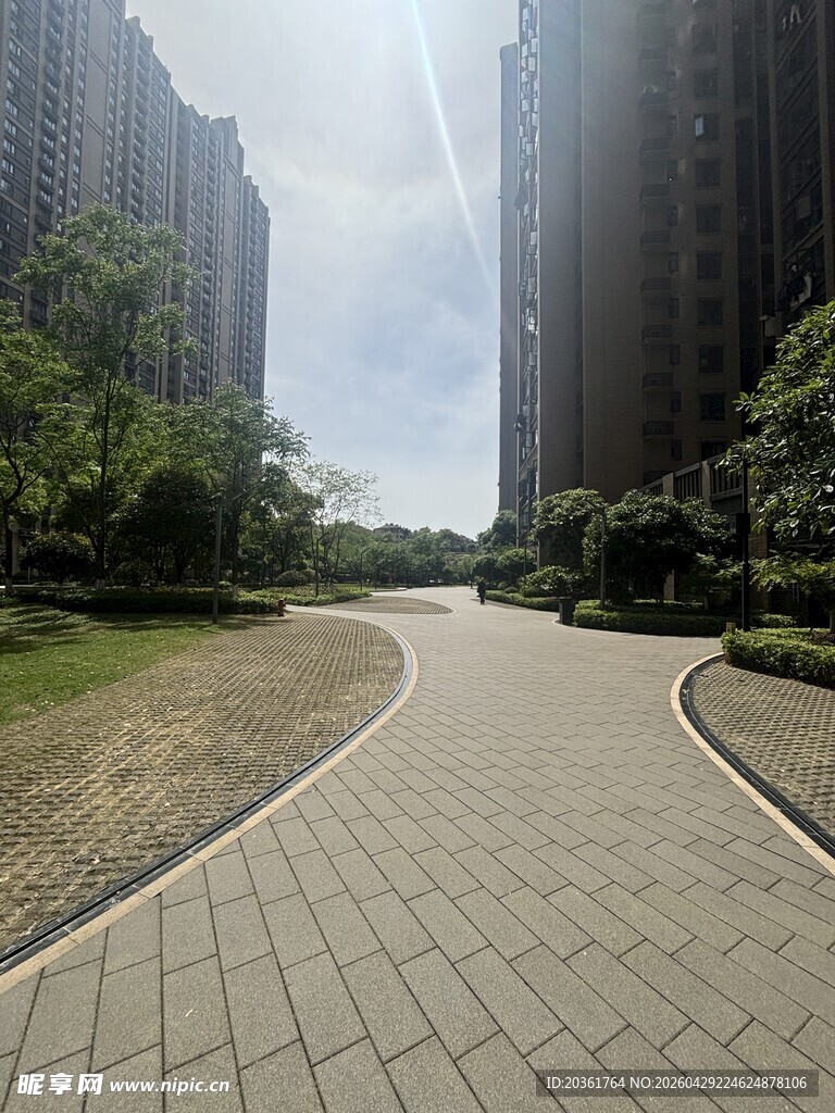 城市中的静谧砖砌林荫小道