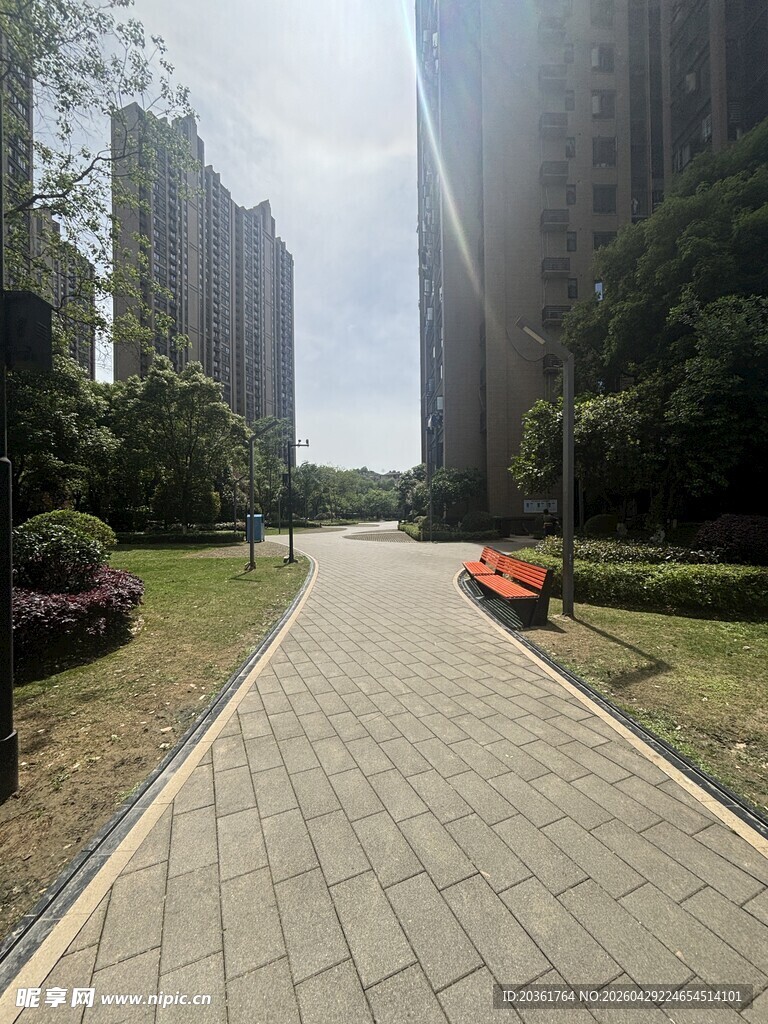 城市中的静谧林荫步道