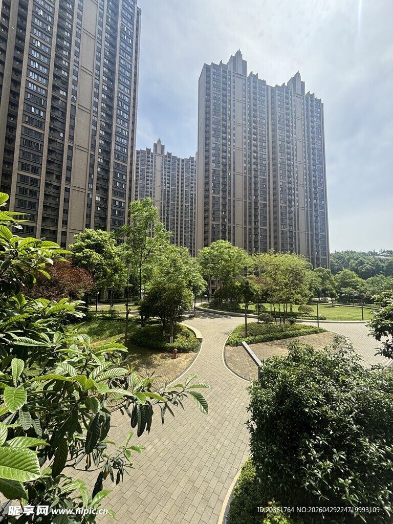 城市中的绿植环绕住宅区