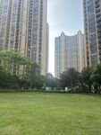 城市中的开阔绿地景观