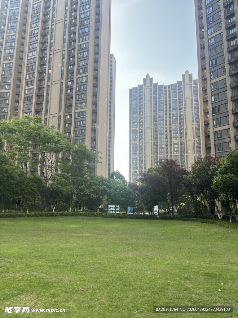 城市中的开阔绿地景观