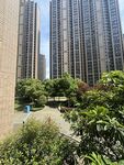 城市高楼间的绿意景观