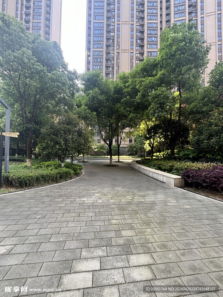 城市中的静谧林荫步道