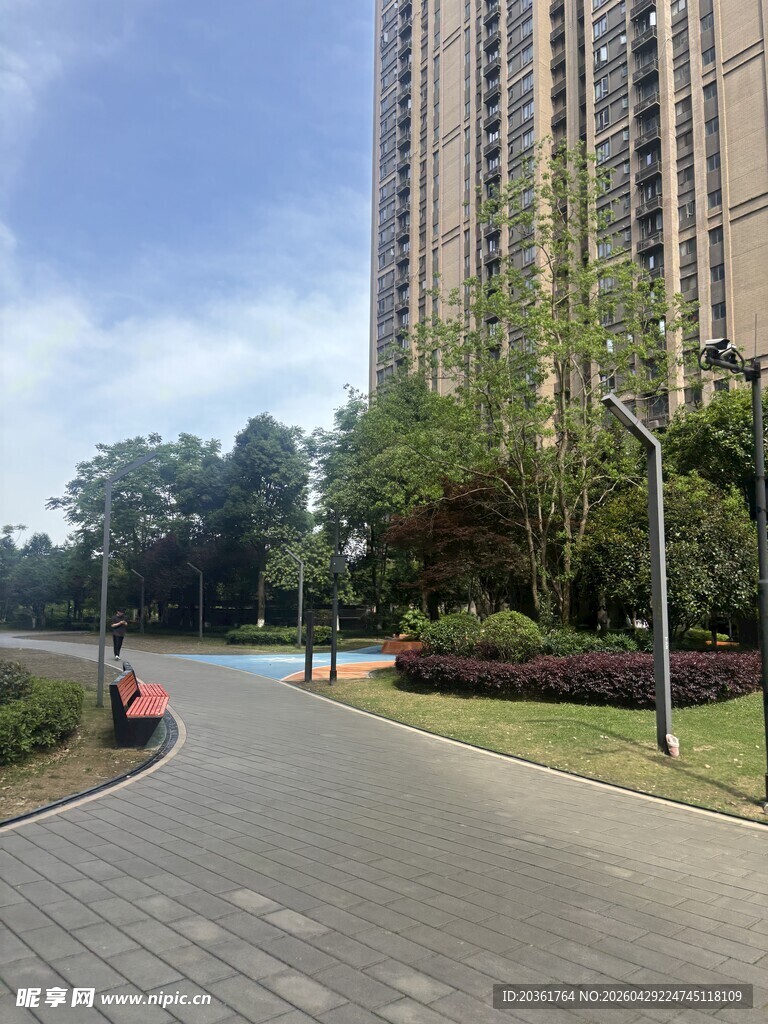 城市中的宁静道路景观