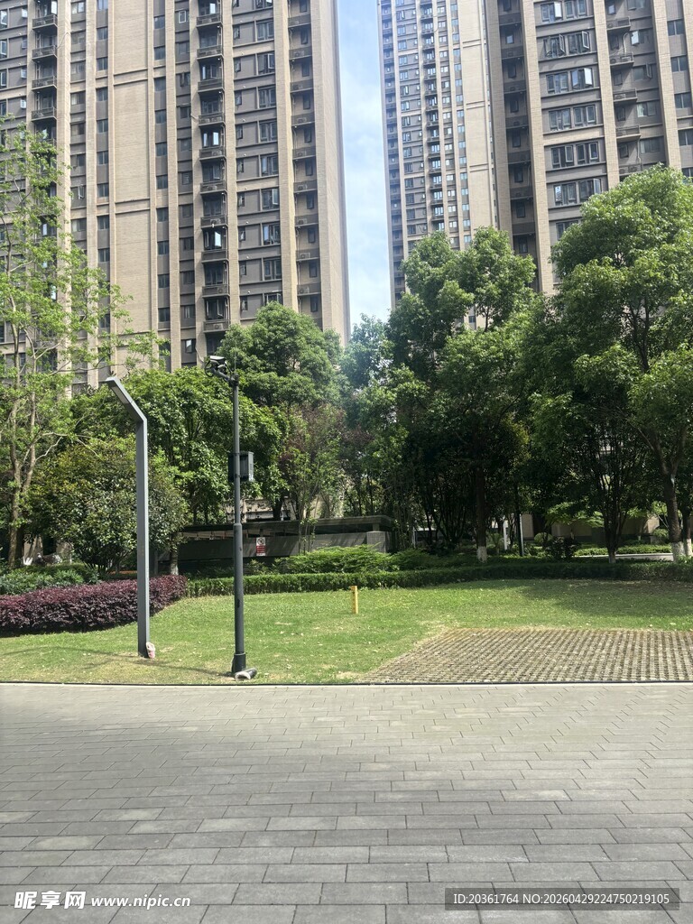 城市中的绿地与高楼景观