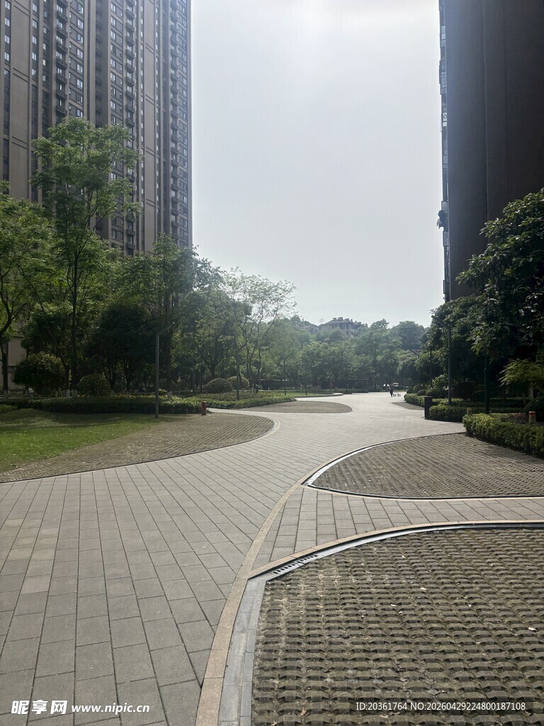 城市中静谧的林荫步道