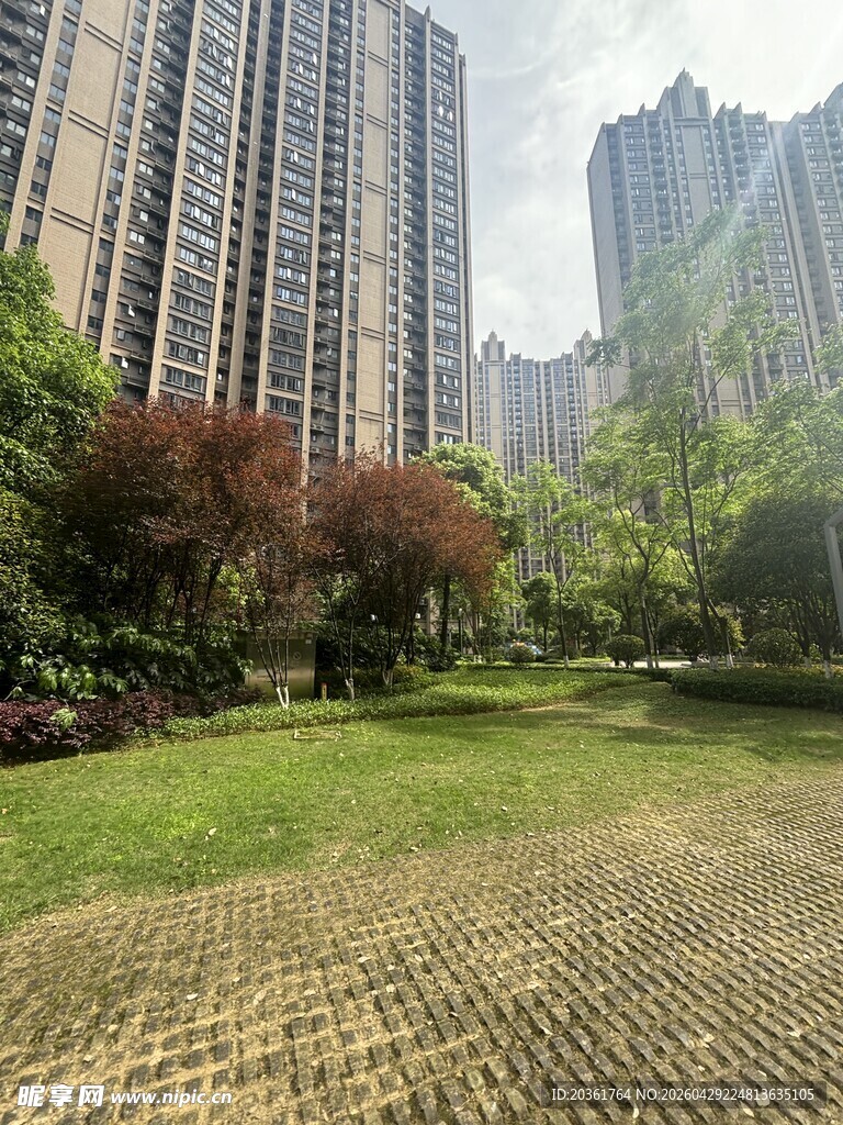 城市中的绿地与高楼景观