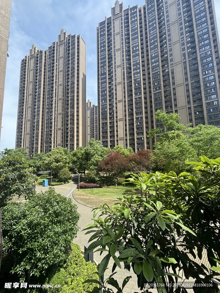 城市中的绿植与高楼景观