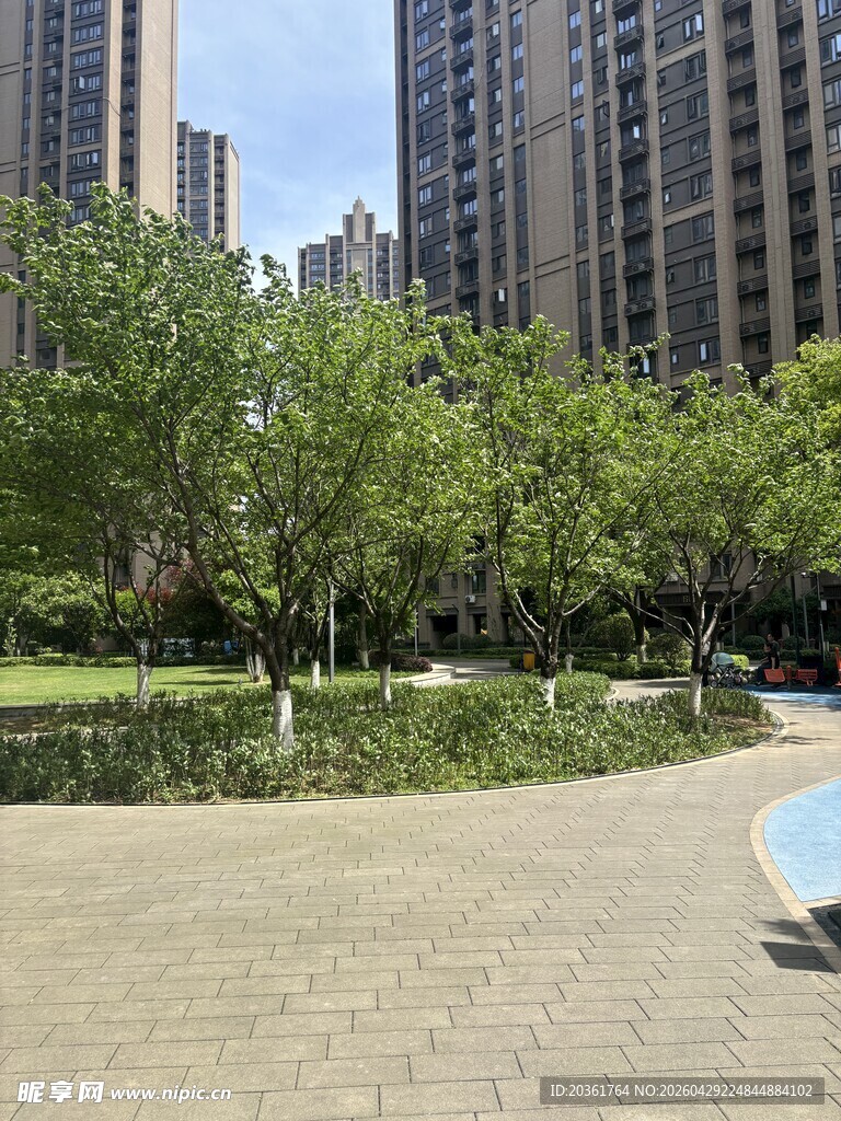 城市中的静谧小区花园