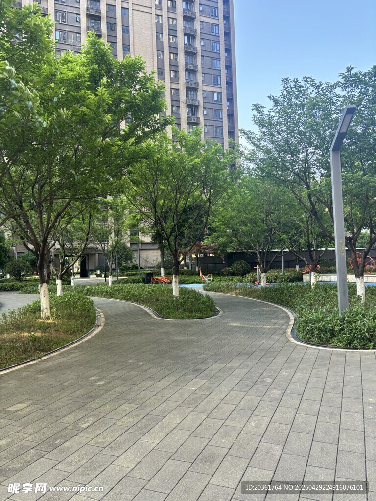 城市中的静谧公园步道