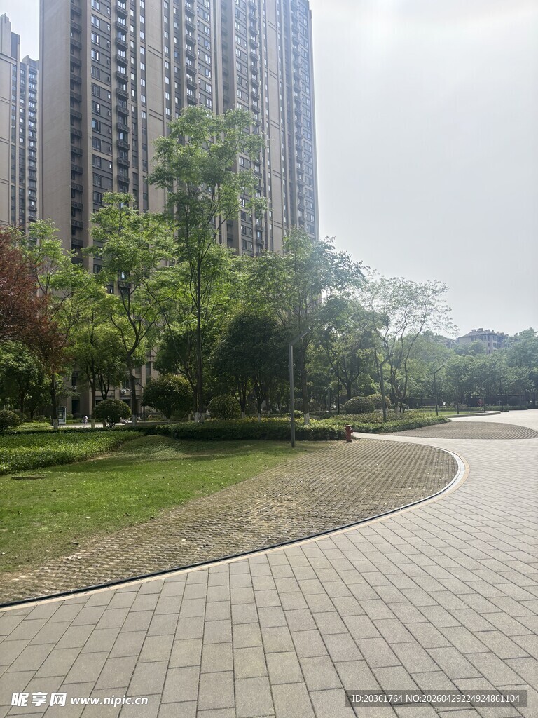 城市公园中的砖石步道景观