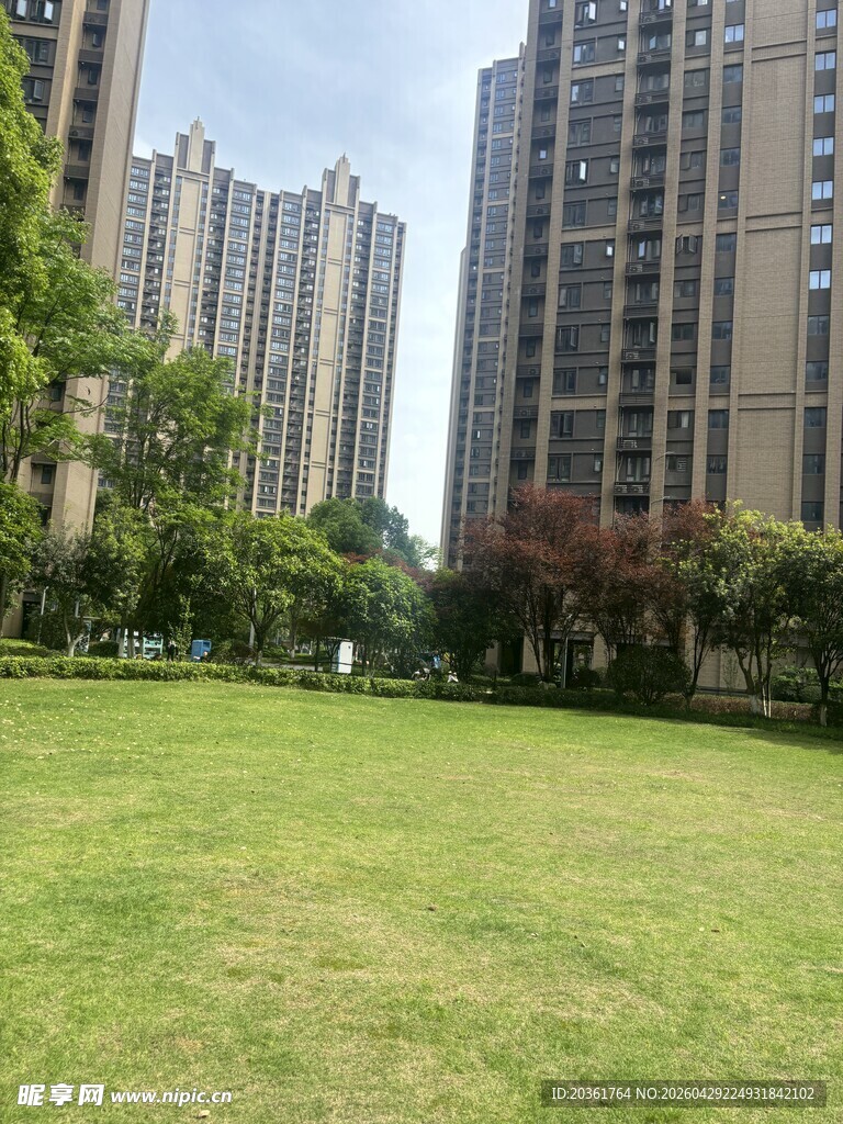 城市草坪旁的高楼景观