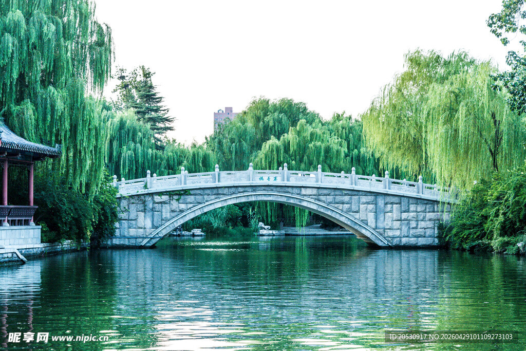 济南大明湖景区里的拱桥摄影图