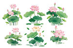 水墨风荷花插画集合