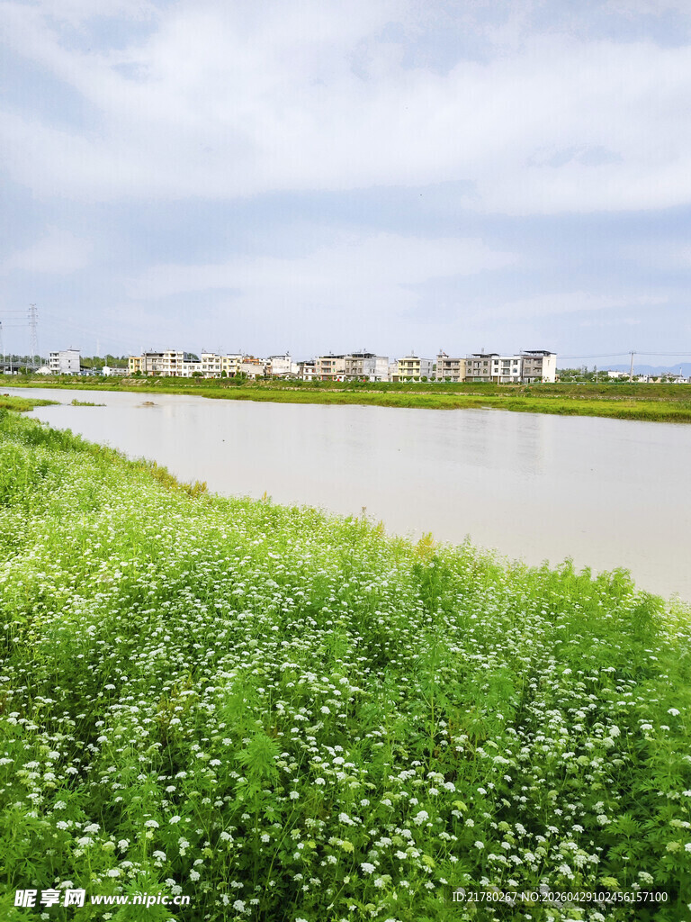 生态河流