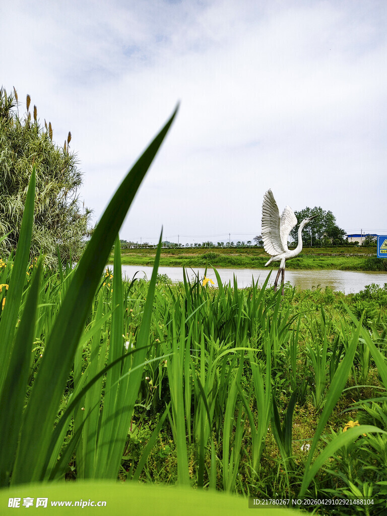 生态湿地公园美景