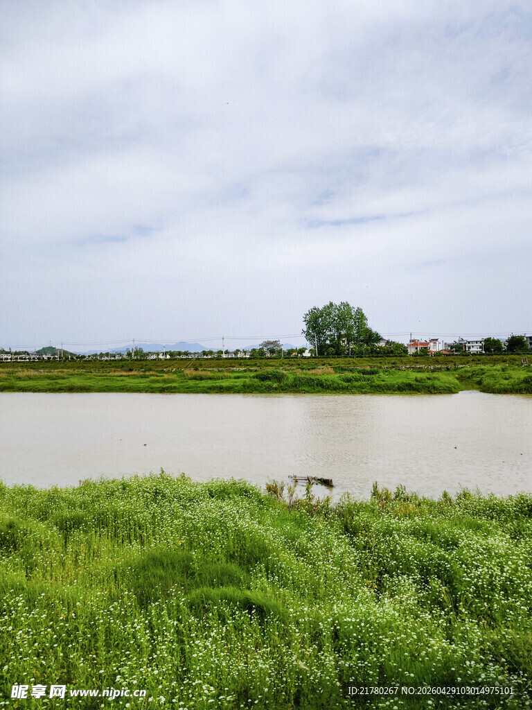 河畔绿野风光