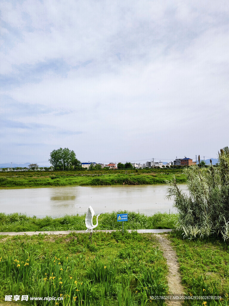 河畔绿野风光