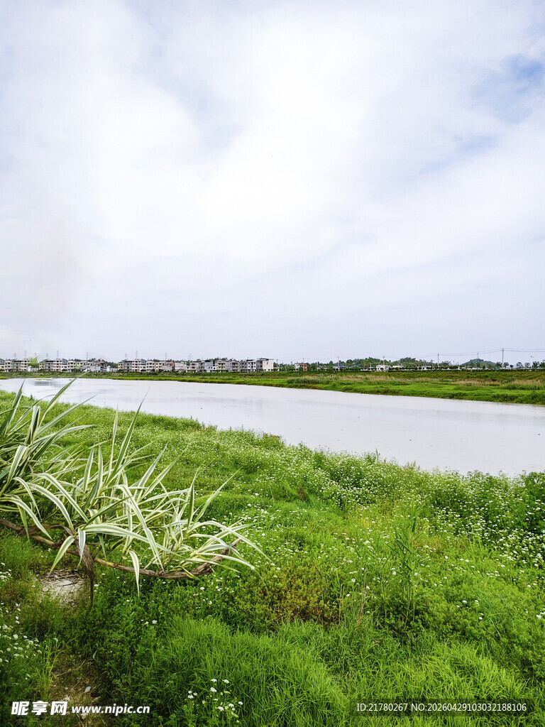 河畔绿野风光