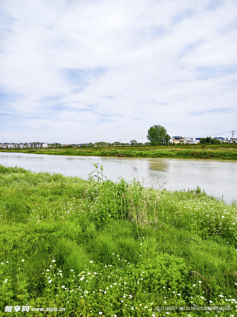 河畔绿野风光