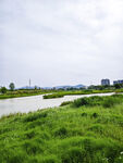河畔绿地风光