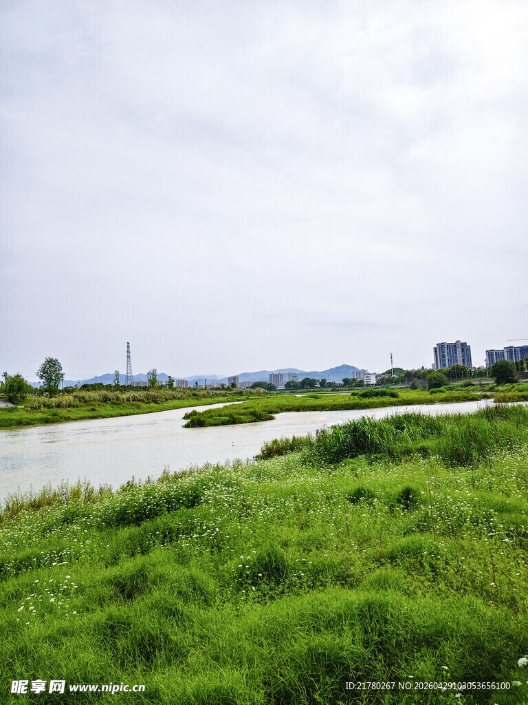 河畔绿地风光