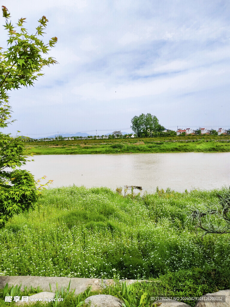 河畔绿野风光