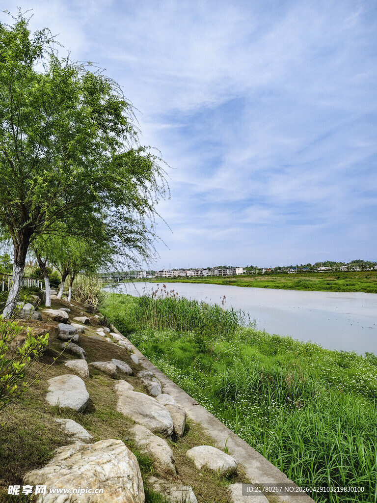 河畔绿意风景