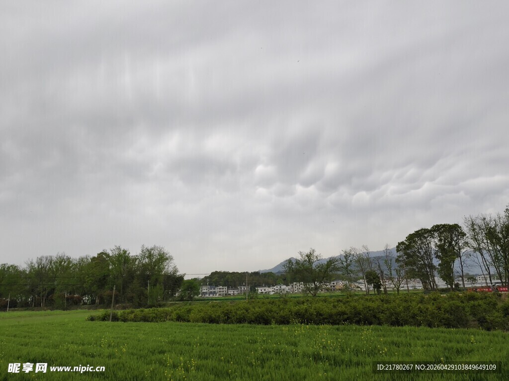 田野风光