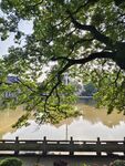 河边绿树 风景如画