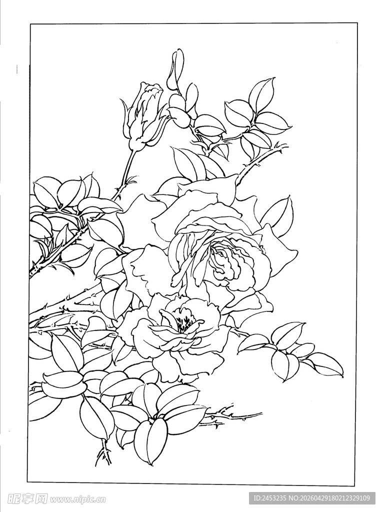 花卉线描图