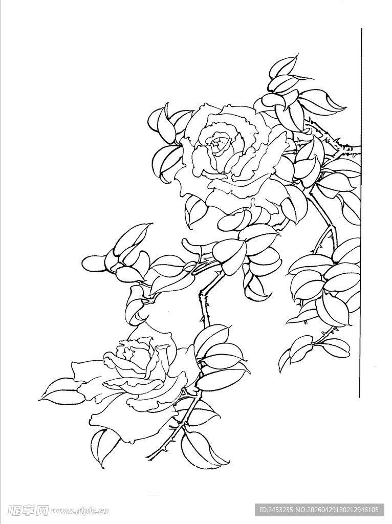 手绘花卉线条图