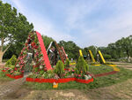 北京海淀公园的花奔展
