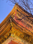 中式古建老北京的鼓楼