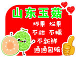 山东玉菇甜瓜不甜包赔